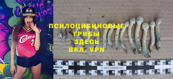 прущая мука Каменка